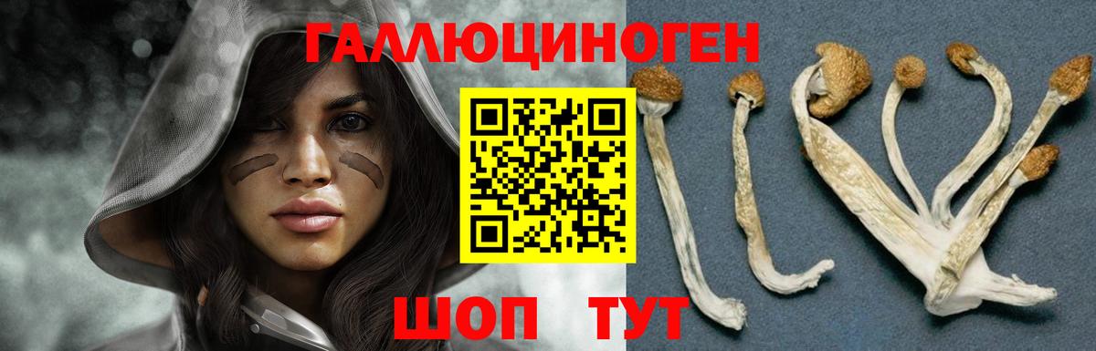 Галлюциногенные грибы прущие грибы  Вход с VPN  Псилоцибиновые грибы GOLDEN TEACHER  Щёкино 